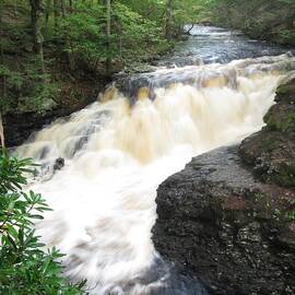 Bushkill Rapids by Richard Reeve