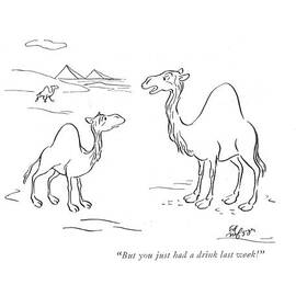 But You Just Had A Drink Last Week! by Ed Nofziger