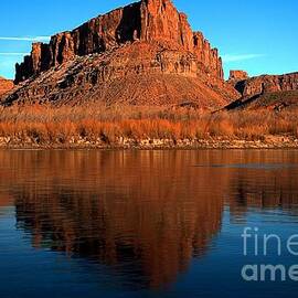 Buttiful Reflections by Adam Jewell