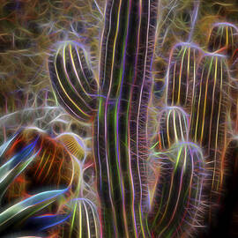 Cacti Lights by Kelley King
