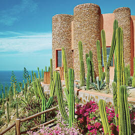 Cacti And Bougainvilleas In Front Of Tower by David O Marlow