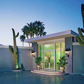 Cactus At Building Entrance At Dusk by Mary E. Nichols