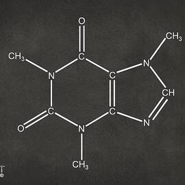 Caffeine Molecular Structure Gray by Nikki Marie Smith