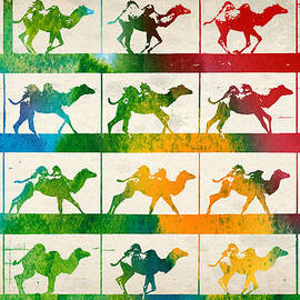 Camel Locomotion by Aged Pixel