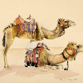 Camels from Petra by Alison Cooper
