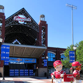 Campbells Field by Olivier Le Queinec