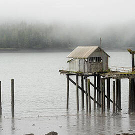 Cannery Memories by Mary Lee Dereske