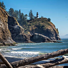 Cape Disappointment Pelicans by Mary Jo Allen