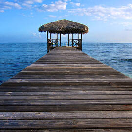 Caribbean Dock by Mary Lee Dereske