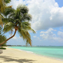 Caribbean Dream Beach by Shunyufan