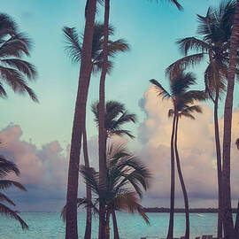 Caribbean Dreams by Laurie Search