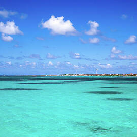 Caribbean Sea, Aruba by Daniel A. Leifheit
