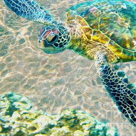 Beautiful Sea Turtle by Jon Neidert