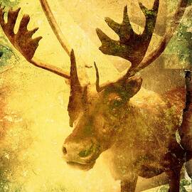 Caribou Dreams by Richard Reeve