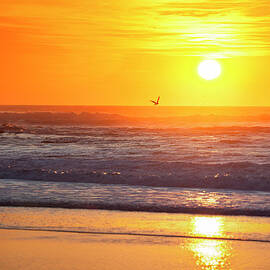 Carmel Beach In Carmel-by-the-sea by Pgiam