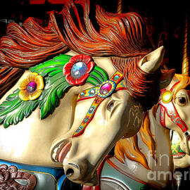 Carousel by Olivier Le Queinec