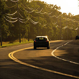 Cars On Road by Joanna Mccarthy