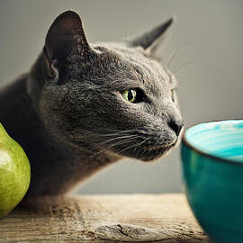 Cat and Pears by Nailia Schwarz