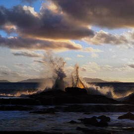 Catalina Clearing at White Point by Joe Schofield