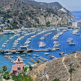 Catalina Harbor by Kelley King