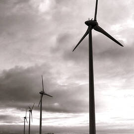 Catch the Wind by Olivier Le Queinec