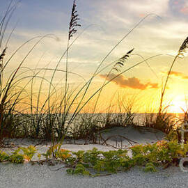 Captivating Beach by Jon Neidert
