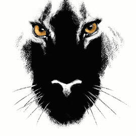 Cat's Eyes by Aaron Blaise