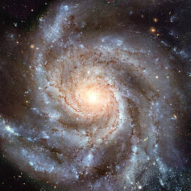 Celestial Spiral by Georgia Clare