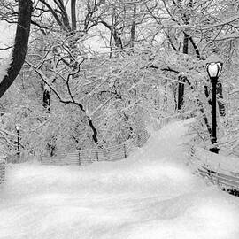Central Park Dressed Up In White by Susan Candelario