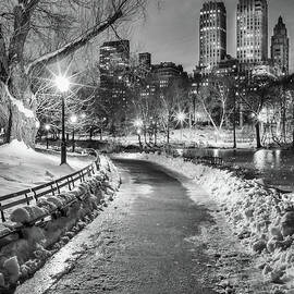 Central Park Path Night Black & White by Michael Lee