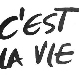 C'est La Vie by South Social Studio