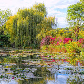 Chasing Monet by Olivier Le Queinec