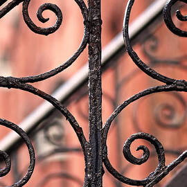 Chelsea Wrought Iron Abstract by Rona Black