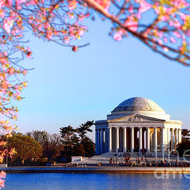 Cherry Jefferson by Olivier Le Queinec