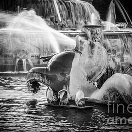 Chicago Buckingham Fountain Seahorse in Black and White by Paul Velgos