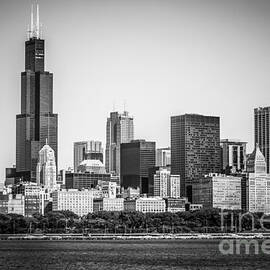 Chicago Skyline with Sears Tower in Black and White by Paul Velgos