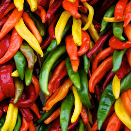 Chile Ristras by Mary Lee Dereske