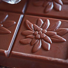 Chocolate Flower  by Rona Black