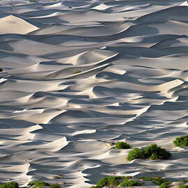 Choppy Seas on the Dunes by Joe Schofield