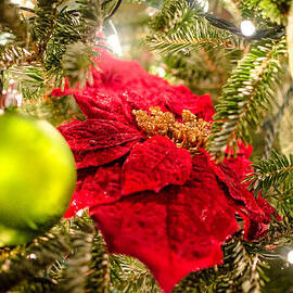 Christmas is in the Air by David Morefield