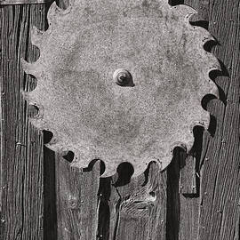 Circular by Kelley King