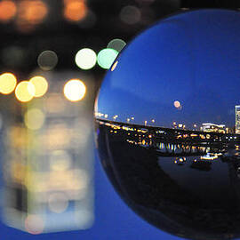 City in a Globe by Stacy Abbott