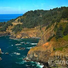 Cliffs At Cape Foulweather by Adam Jewell
