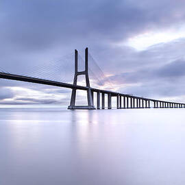 Cold by Jorge Maia