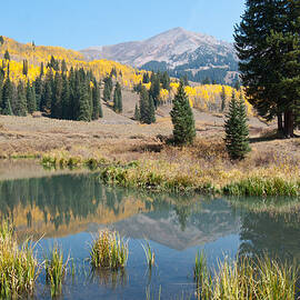 Colorado Autumn Reflection by Cascade Colors