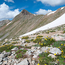 Colorado Elkhead Pass by Cascade Colors