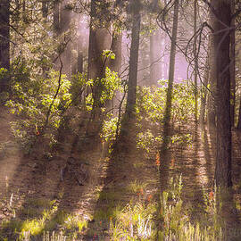 Colorado Evening  by Kype Hills