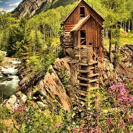 Colorado Icon by Adam Jewell