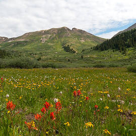 Colorado Meadow and Mountain Landscape by Cascade Colors