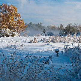 Colorado Waning Autumn and Approaching Winter by Cascade Colors